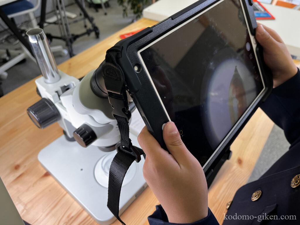 コリメート法で顕微鏡の写真を撮る研究員