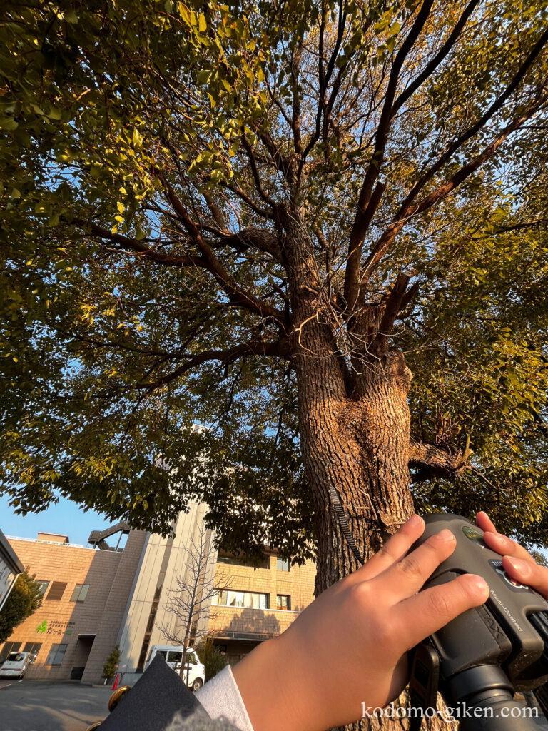 小野市のサイエンス教室で、鳥を探す子どもの様子