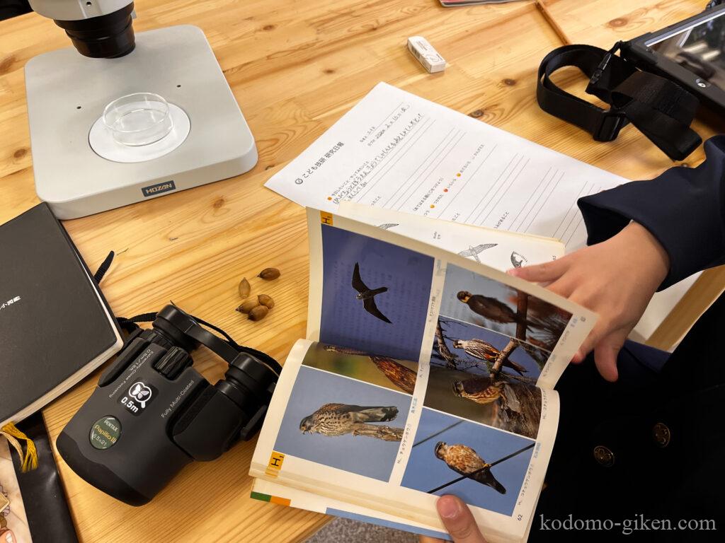 鳥の同定のために、図鑑を広げる小学生