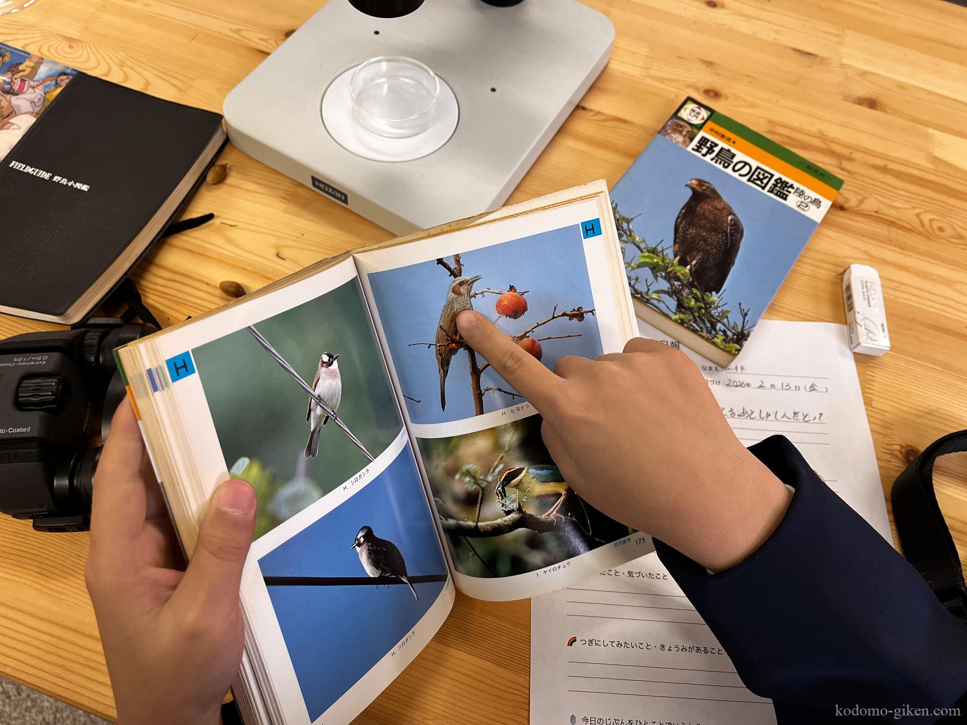 【こども技研の日常】身近な自然の観察に行って、鳴き声から鳥の名前を調べた話🐦✨ NEW