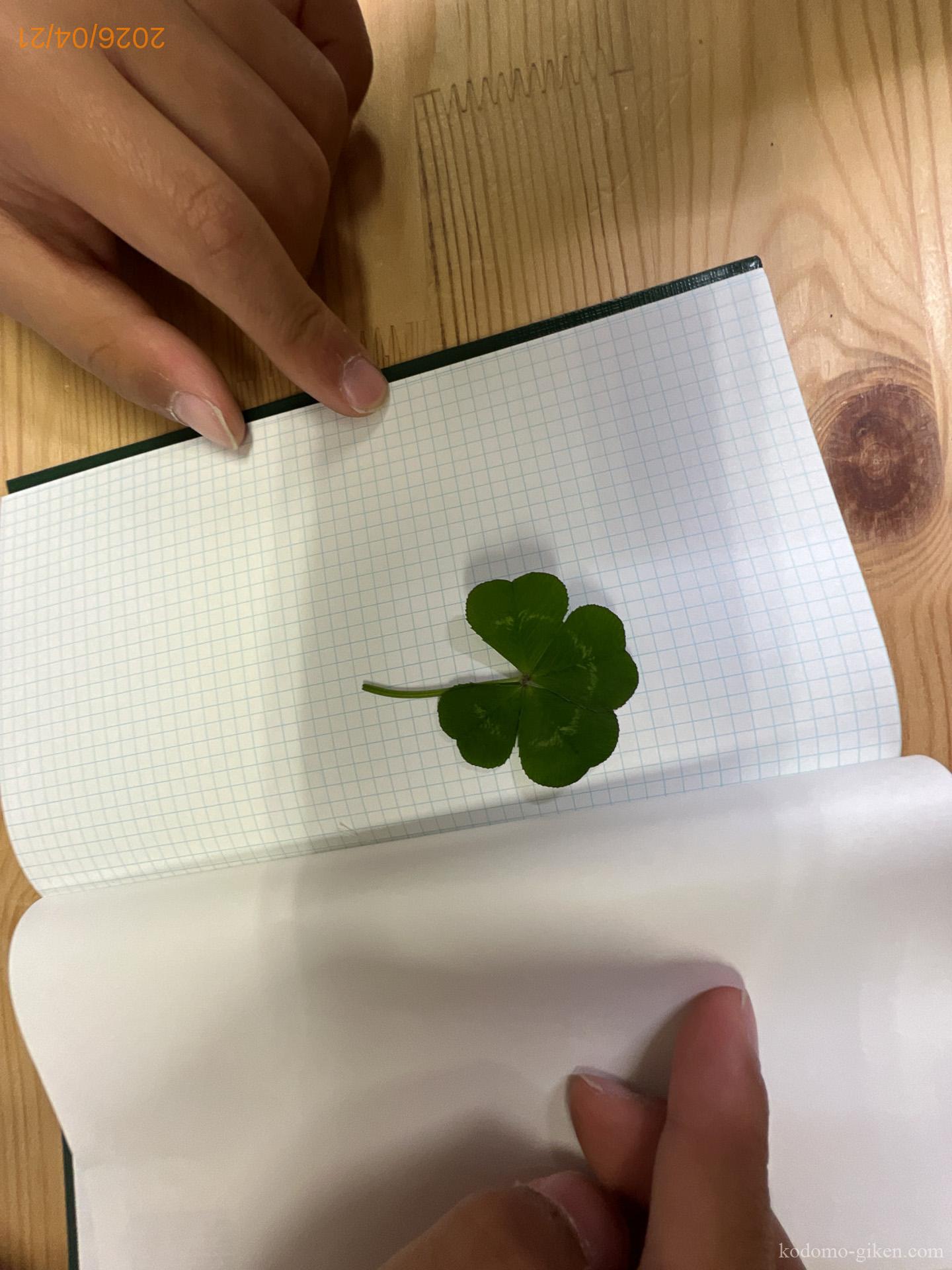 【こども技研の日記】自然は移り変わるものだと気がついた NEW